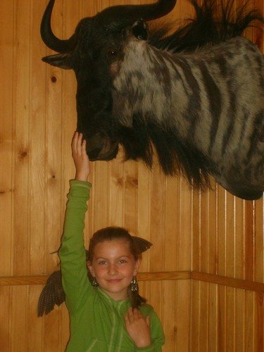 hehe prosto z Afryki