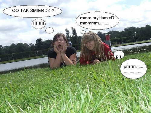 nie ma to jak bczki xD 