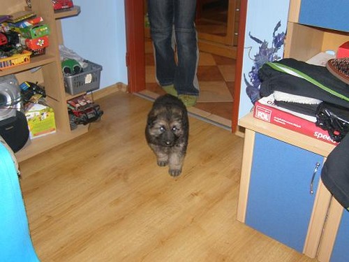 Max ;**
