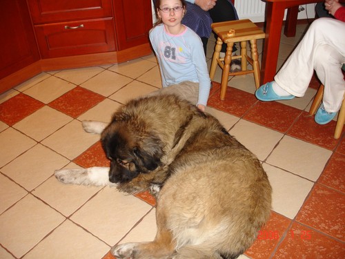 Cezar i ja