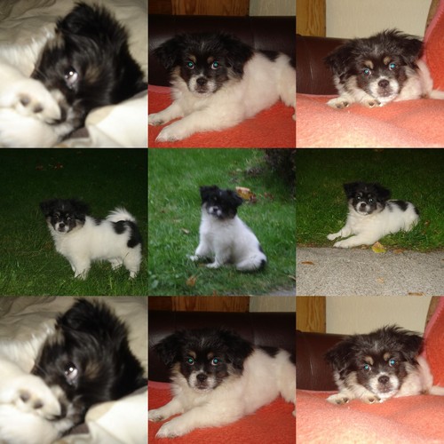Sunia:)