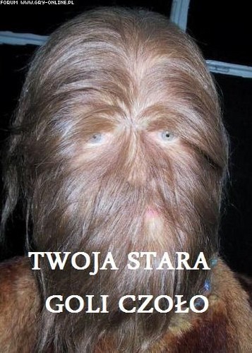 Twoja stara to pisala
