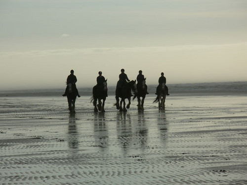 Beach ride large