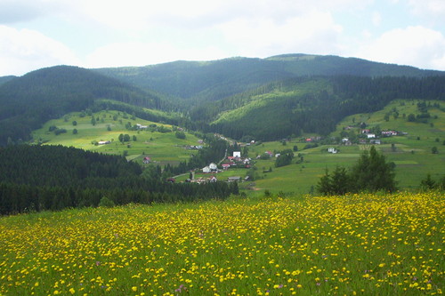 Soblwka