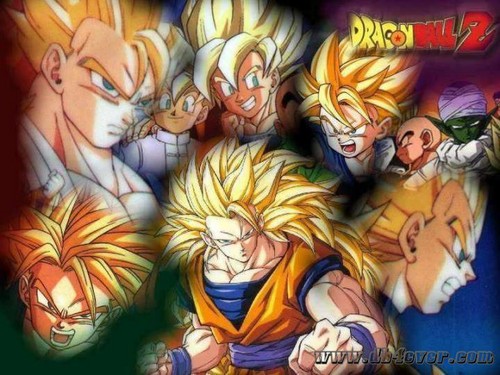 Wpis funclubdbz