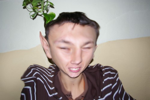 Wpis tofior