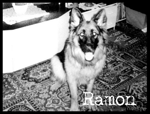 rok