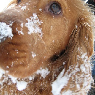 Samerek ^^