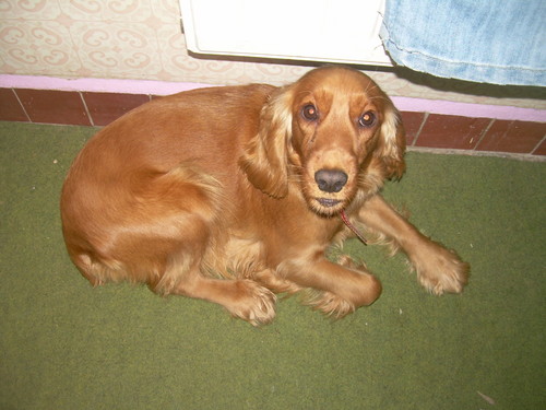 Sonia:)