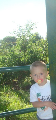 Wpis lukas14