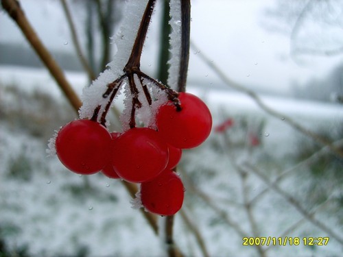 ziiima...brrr...
