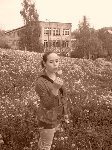 koczc.
