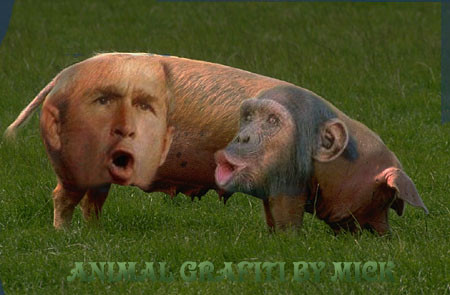 winka albo co tam