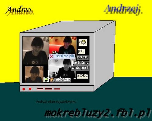 Wpis mokrebluzy2