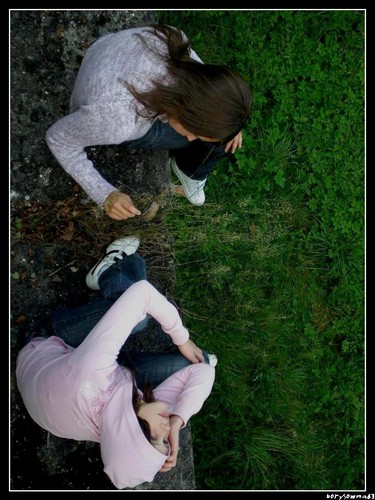 Wpis czikiczik