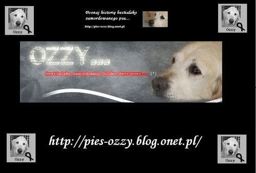 http://pies-ozzy.blog.onet.pl/
