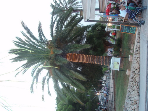 siemkas'