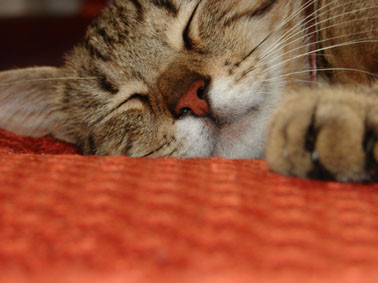 iiiiiiiiintu..:) 