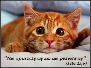 :)
