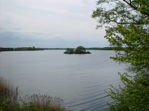Wyspa
