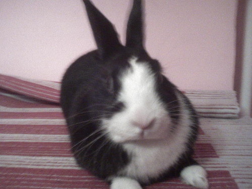 Kicu$$$ka :* 