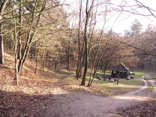 jesieni