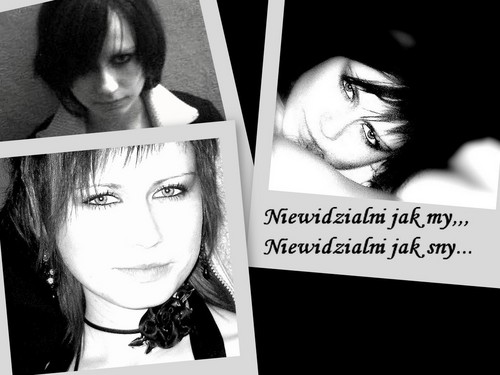 Wpis albaniatko