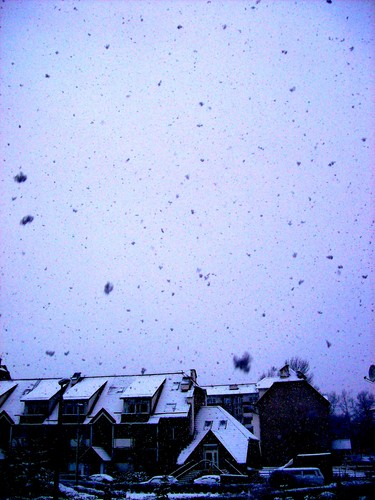 Zima o.O