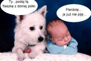 Rozmowa