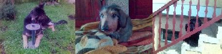 Malutka fotka:)