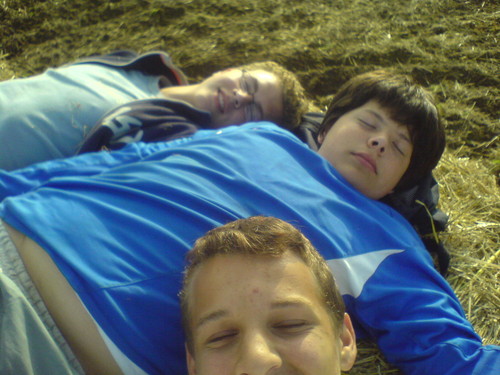pow ryb :D