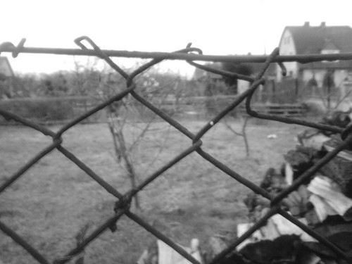 first art photo 