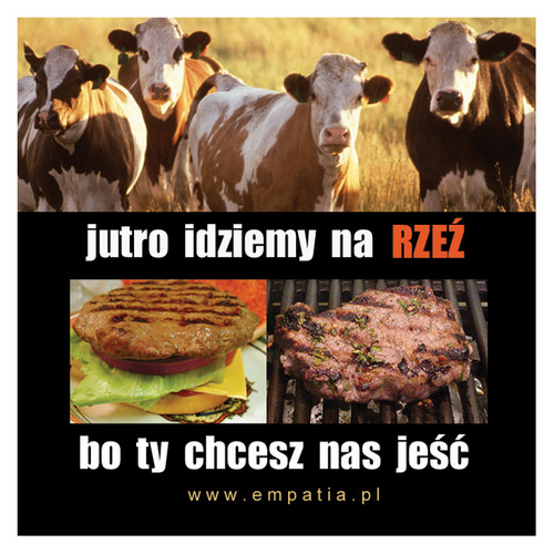 Czemu je zabijasz?