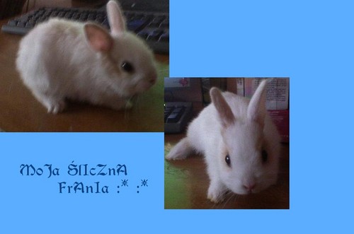 lIcZnUsIa FrAnUsIa :):)