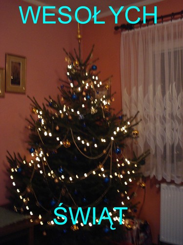 Wpis cwikla13