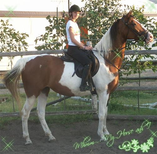 Mhmm ... My Horse and I