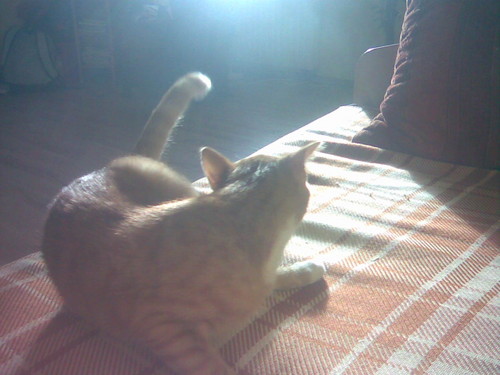 wita...