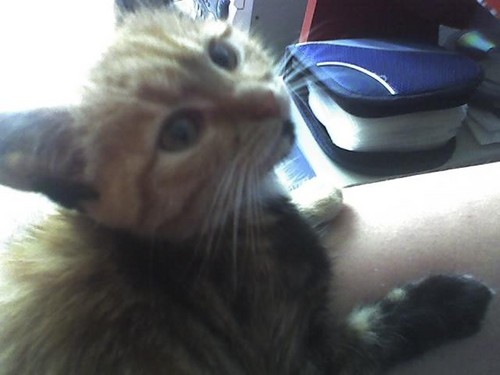 :D