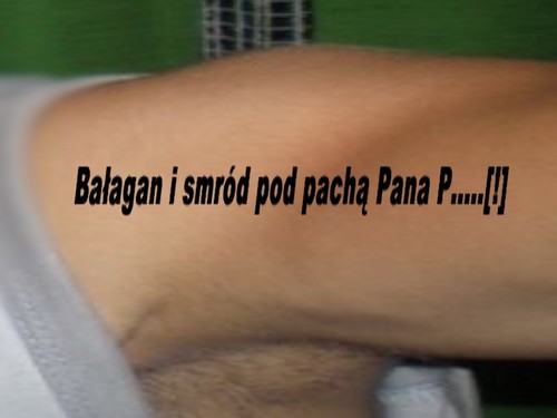 Wpis bialelabedzie