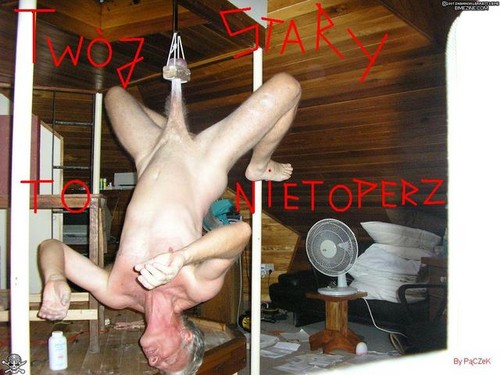Wpis cokroktopunkrock