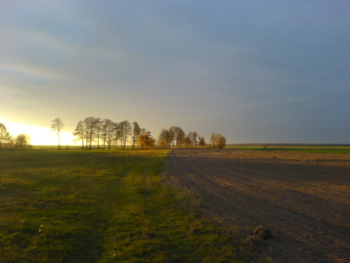 Wpis komar2591