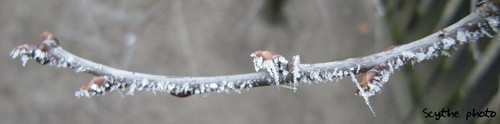 Gazka