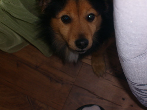 Mj PIESEK 
