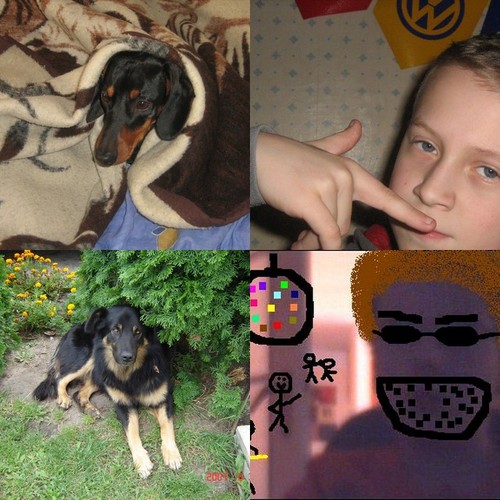 Wpis ziomkips2