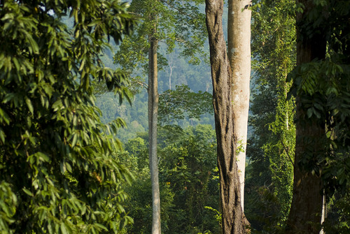 Taaa...Indonezja...