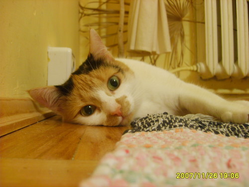 Kika mojaa ;*