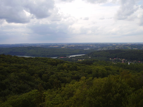 WIDOCZEK