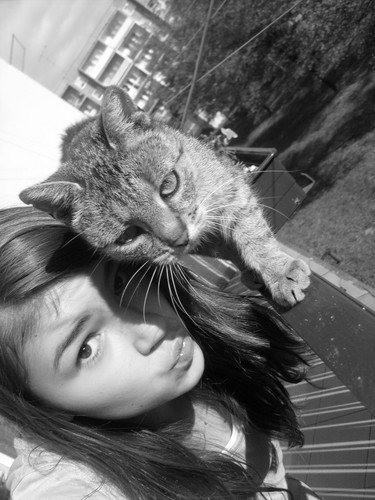 My sit catz :D i ja ofc (:
