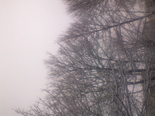 Wpis nielegalna00