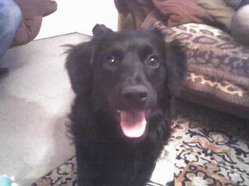 Cezary:D